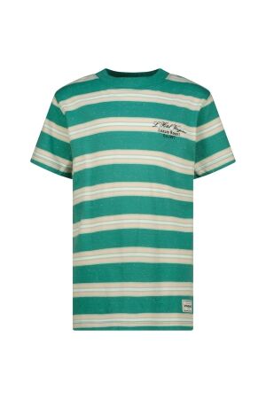 Vingino Hayes T-shirt Ivy