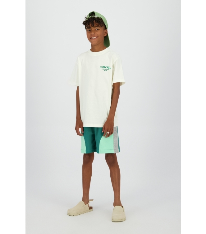 Vingino shirts Turtledove SS26KB200104