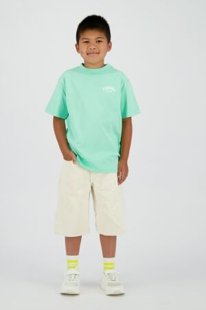 Vingino Icon T-shirt Fresh Mint