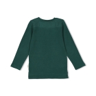 Sturdy shirts 300 Groen 71600590