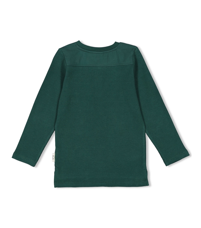 Sturdy shirts 300 Groen 71600590
