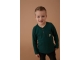 Sturdy shirts 300 Groen 71600590