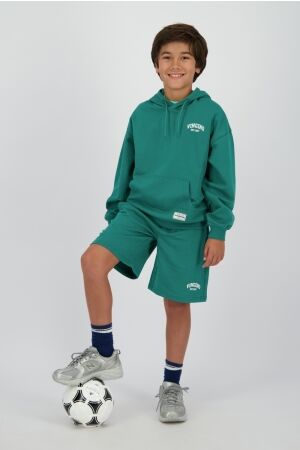 Vingino Icon Hoodie Ivy