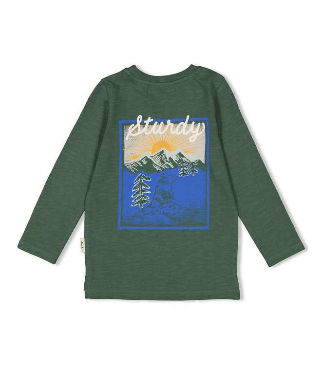 Sturdy shirts 335 Jade Groen 71600591