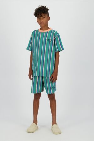 Vingino Ripers Korte broek Ivy