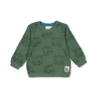 Sturdy truien & vesten 335 Jade Groen 71600593