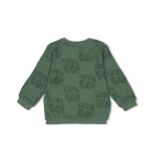 Sturdy truien & vesten 335 Jade Groen 71600593