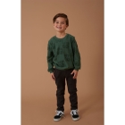 Sturdy truien & vesten 335 Jade Groen 71600593