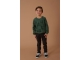 Sturdy truien & vesten 335 Jade Groen 71600593