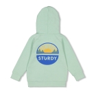 Sturdy truien & vesten 320 Mint 71600598