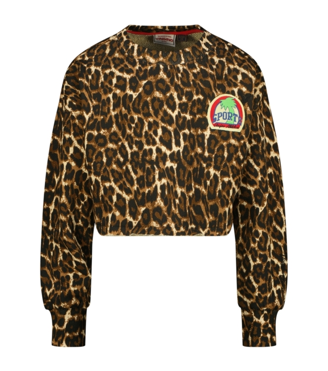 Vingino truien Multicolor Brown SS26KG340127