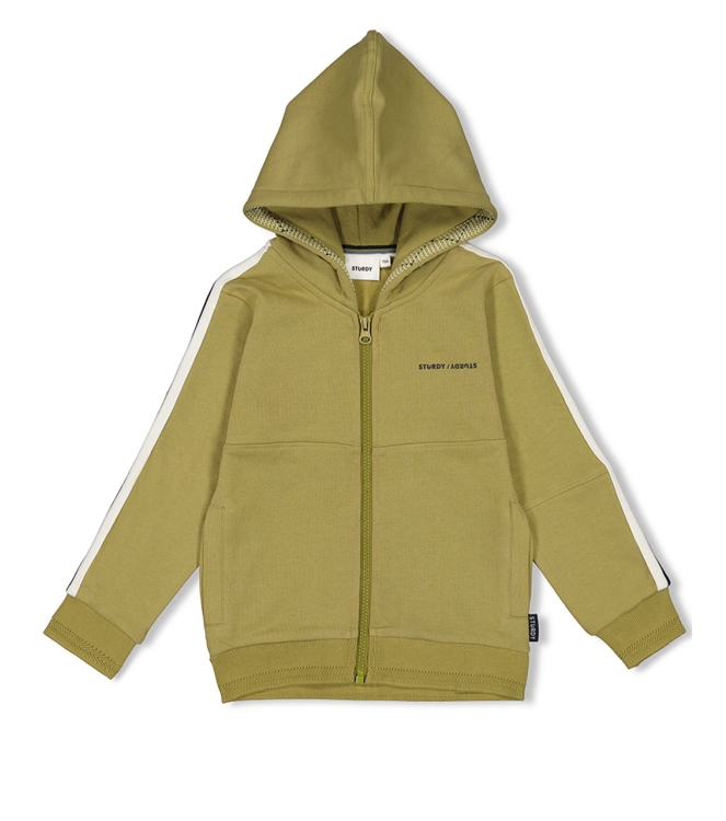 Sturdy truien & vesten 300 Groen 71800047