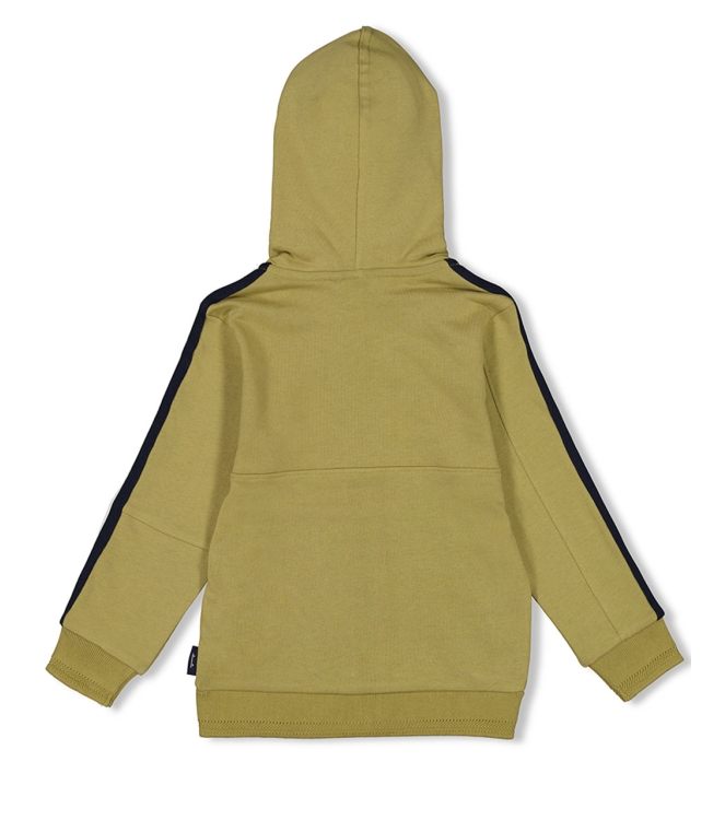Sturdy truien & vesten 300 Groen 71800047