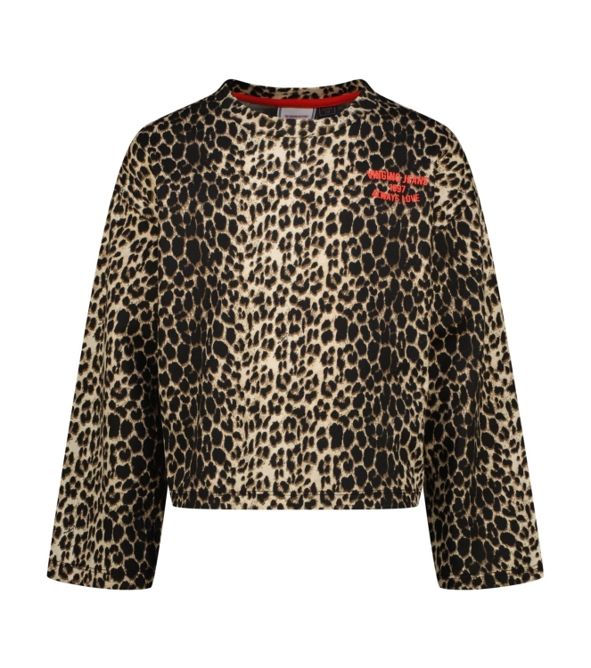 Vingino shirts Multicolor Brown SO26KG300039