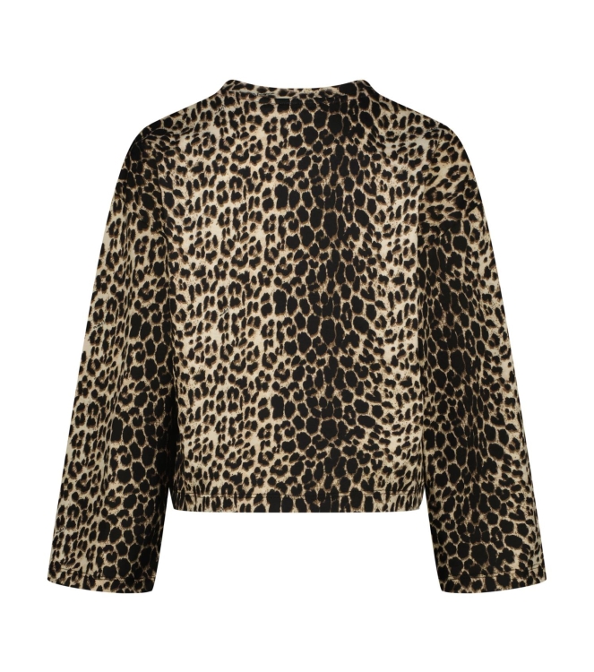 Vingino shirts Multicolor Brown SO26KG300039