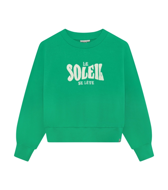 Indian Blue Jeans truien simply green 970636