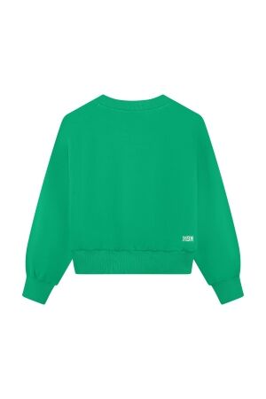 Indian Blue Jeans truien simply green 970636