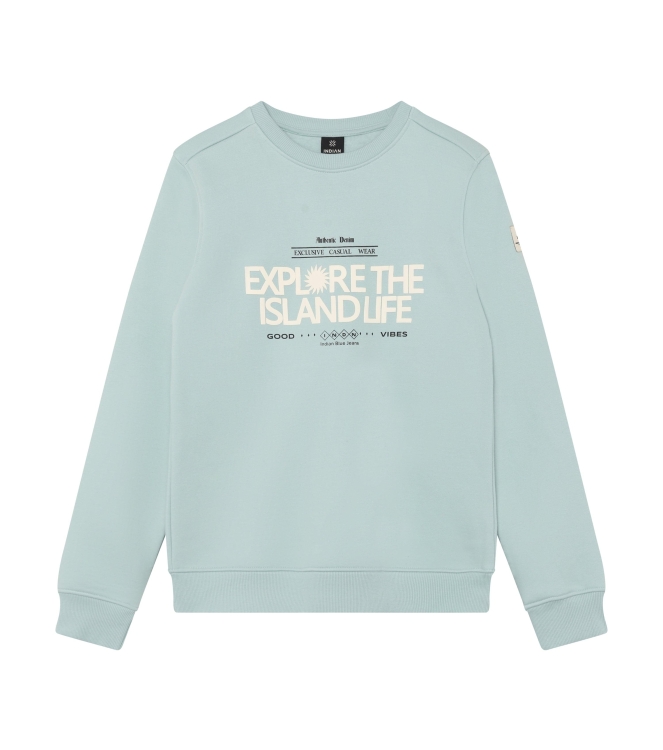 Indian Blue Jeans truien Ether 960599