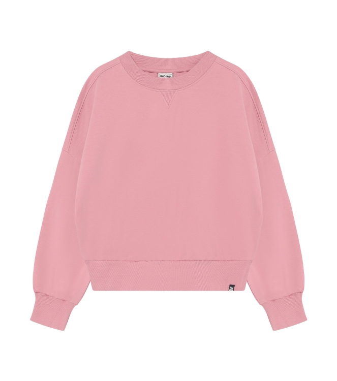 Indian Blue Jeans truien Lilas 970731