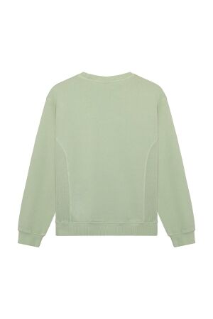 Indian Blue Jeans truien Laurel Green 960598