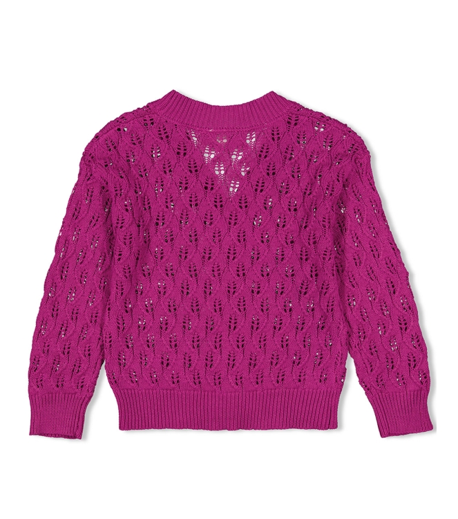 Jubel truien & vesten 160 Cerise 91300171