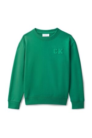Calvin Klein Relaxed Sweater Lush Meadow