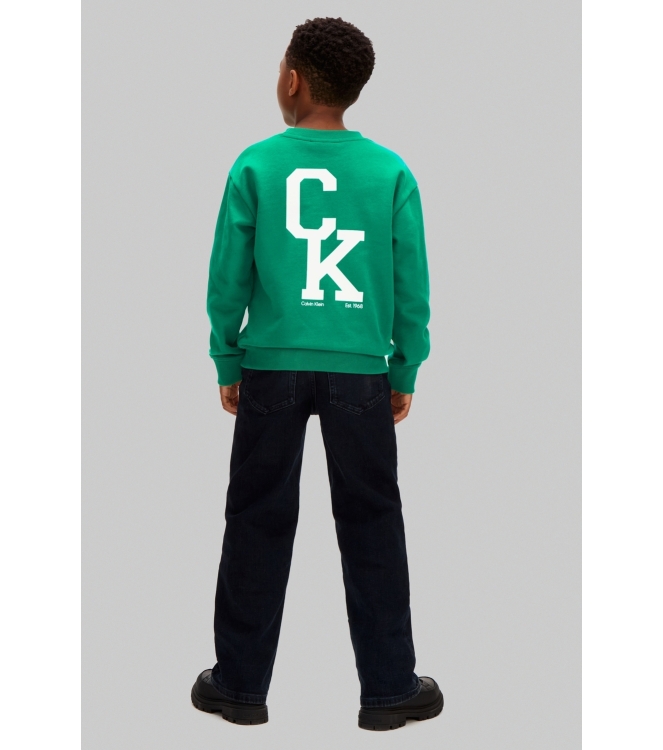 Calvin Klein truien Lush Meadow LVCKSJB07B