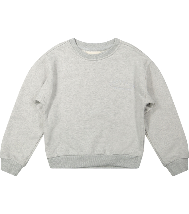 Two You Label truien Grey COZ-CLU-JUM