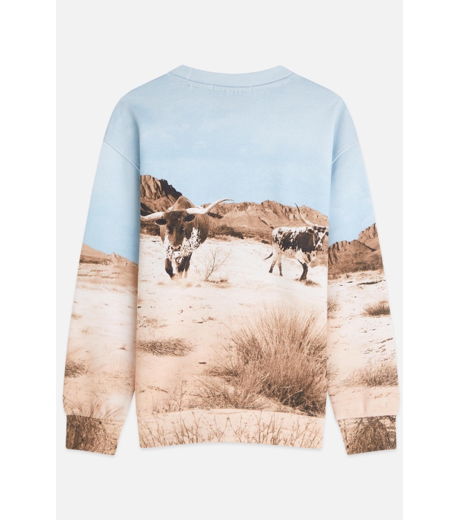 Scotch & Soda Kids truien Desert Scenery 183026