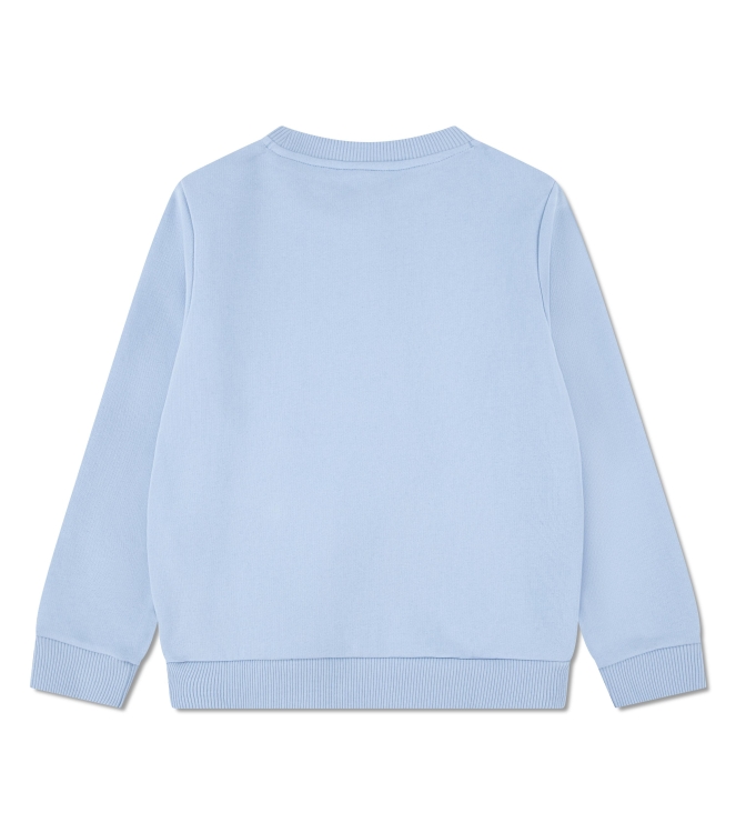 Lacoste truien Panorama 847029