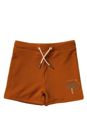 Salted Stories Solid Zwembroek Bombay Brown