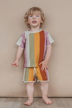 Salted Stories Multi Stripe T-shirt Multicolor