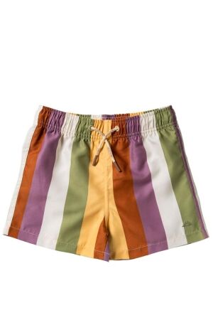 Salted Stories Multi Stripe Zwemshort Multicolor