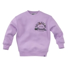 Z8 truien Comfy cosmic Aris