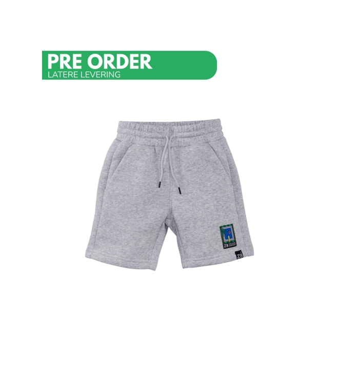 Z8 broeken Grey melange Ibra