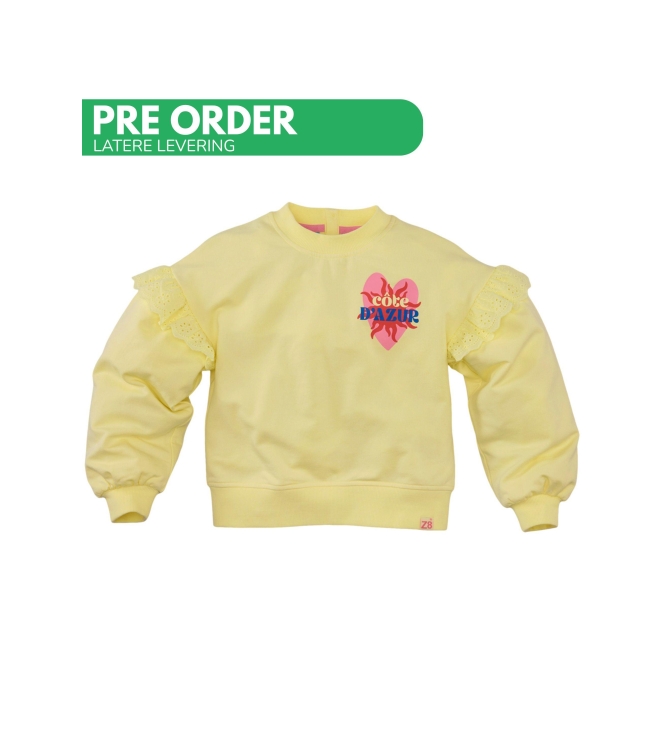 Z8 truien Lovely lemon Mikky