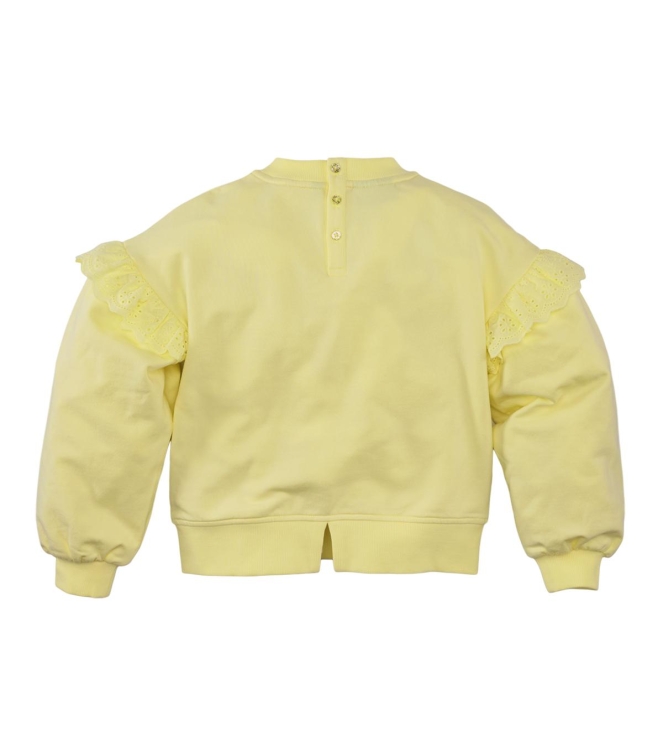 Z8 truien Lovely lemon Mikky