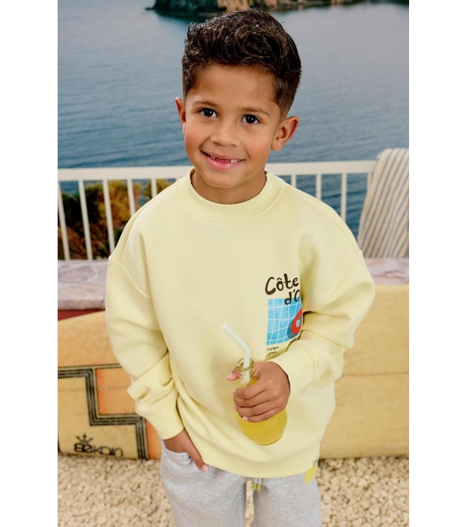 Z8 truien Silly citron Xavi