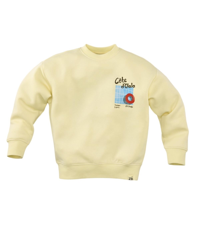 Z8 truien Silly citron Xavi