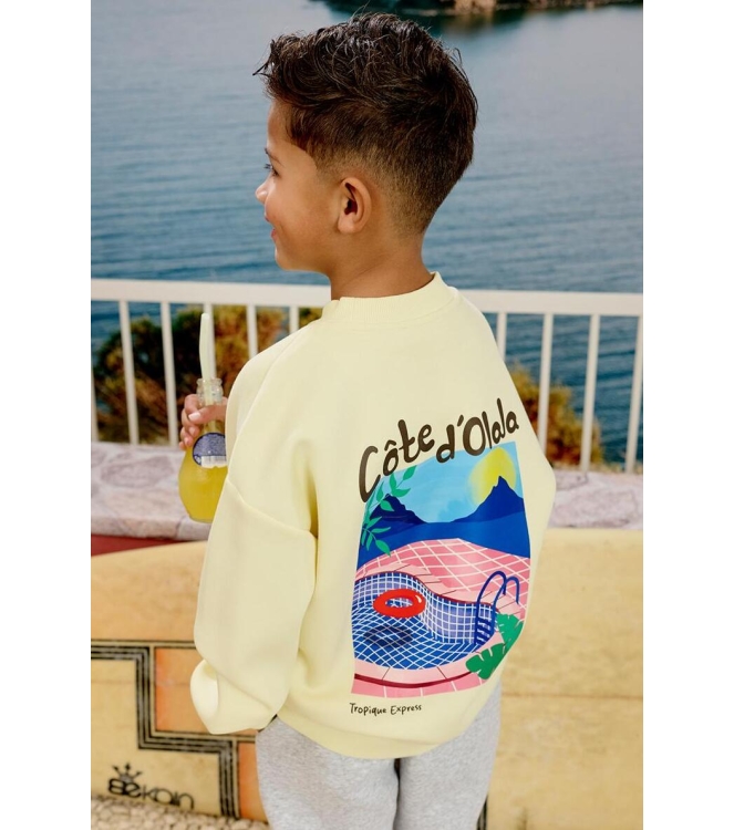 Z8 truien Silly citron Xavi