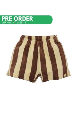 Z8 Sami Korte Broek Silly citron / Nutshell