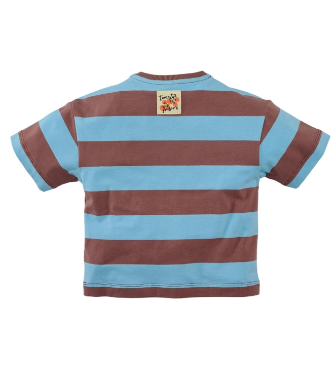 Z8 shirts Blush brown / Surfing blue Zeyd