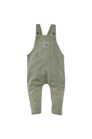 Z8-Newborn Elay Tuinbroek Silver sage