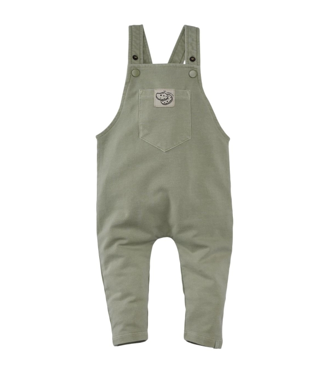Z8-Newborn broeken Silver sage Elay salopette