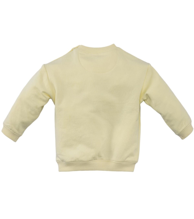 Z8-Newborn truien Silly citron Guus