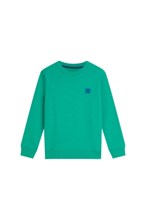 Scotch & Soda Kids Sweatshirt Regular-fit Logo Badge Spectra Green