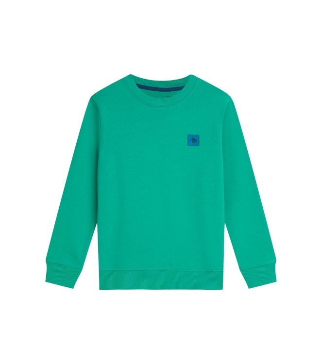 Scotch & Soda Kids truien Spectra Green 183331