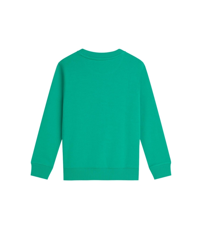 Scotch & Soda Kids truien Spectra Green 183331