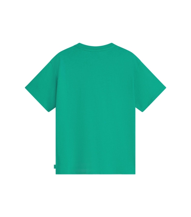 Scotch & Soda Kids shirts Spectra Green 183357