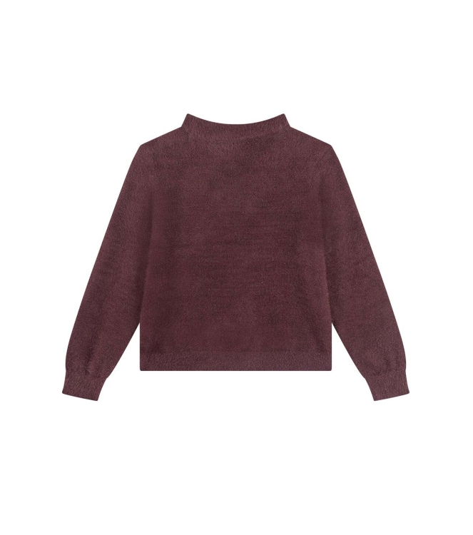 Someone truien Dark Brown SG12.262.100224